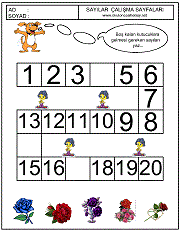 okul öncesi sayılar örüntü çalışmaları